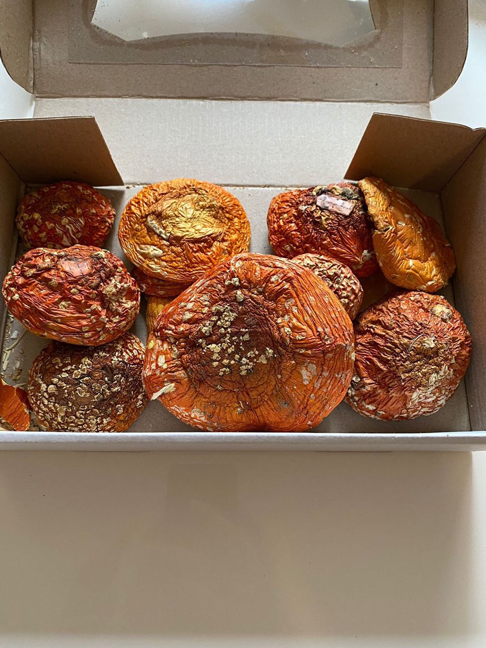 Amanita Muscaria for sale in UK