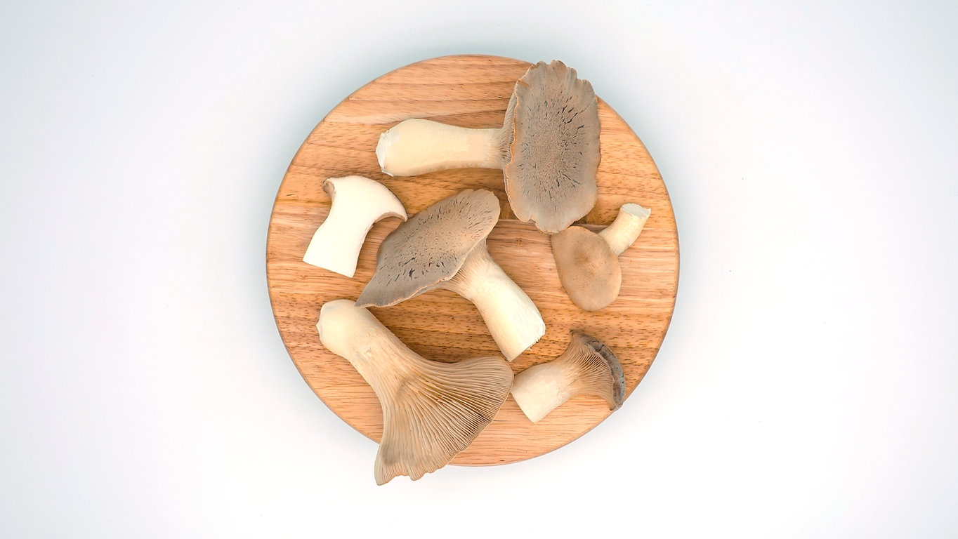 Buy King Oyster Mushrooms Online UK
