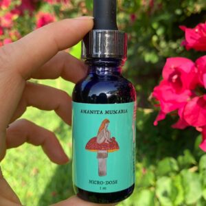Red Cap Mushroom Microdose: Boost Mental Clarity, Focus, and Emotional Wellness Naturally
