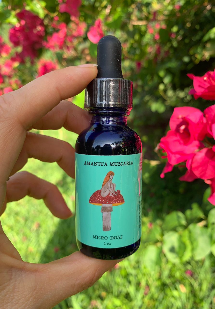 Red Cap Mushroom Microdose: Boost Mental Clarity, Focus, and Emotional Wellness Naturally