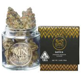 medicinal mushroom capsules