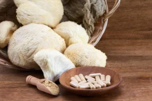 Medicinal mushroom supplements in the UK